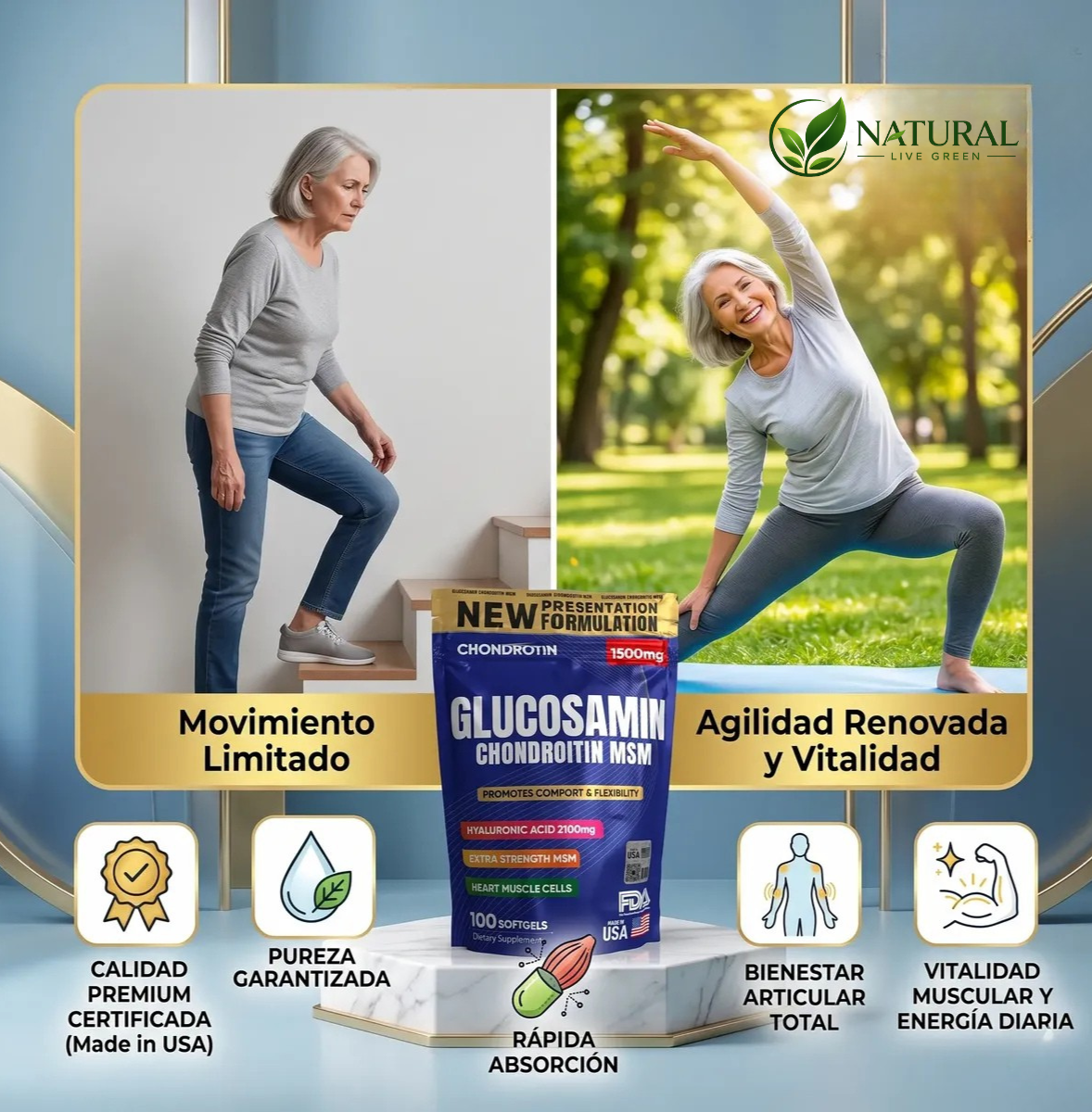 GLUCOSAMIN CHONDROITN MSM 100 CAPSULA